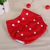 Pañales transpirables para recién nacidos, pañales de tela para bebés pequeños de 1 año, lavables.