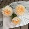 Nueva flor artificial de champán para el hogar, sala de estar, mesa de centro, exhibición de flores, boda, fondo de boda, decoración de pared, flor falsa