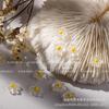 Celebridad de Internet Tridimensional Escarchado Transparente Flor Arte de Uñas Joyería Estilo Japonés Fresco y Fresco Resina Flor de Cinco Pétalos Joyería de Diamantes Hen
