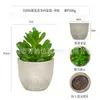 Planta en Maceta Artificial Mini Transfronteriza Hecha a Medida Adornos de Escritorio Bonsái Suculento de Simulación Flor Artificial Planta Verde Pulpa Suculenta Planta en Maceta