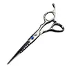 6.0 Tesoura de Cabeleireiro Divina com Lâminas Serrilhadas, Tesoura de Corte de Cabelo, Tesoura Reta, Tesoura de Desbaste, 04-6