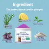 Polvo para Limpieza Bucal de Mascotas Transfronterizo 200g, Herramienta para Limpiar Sarro y Manchas, Limpieza y Refrescamiento de Dientes para Gatos y Perros