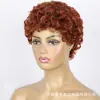Europa y Estados Unidos Transfronterizo Peluca de pelo corto rizado 350# para mujer Pelucas africanas rizadas pequeñas esponjosas venta al por mayor