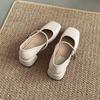 Zapatos Mary Jane Retro Franceses de Otoño 2025 para Mujer, Nuevos de Boca Baja, Punta Cuadrada, Tacón Medio Grueso, con Falda Mocasines