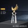 Nuevo Trofeo de Cristal Impresión 3D Material Nuevo Creativo Medalla Hecha a Medida Impresión a Color Reunión Anual Corporativa Premio de Reconocimiento Destacado
