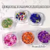 Pacote de Material Colorido Estilo Ins Acessórios para Unhas Arte Cristal Tubo Tubo de Arroz Contas Pérola Cascalho Mineral Material DIY para Unhas