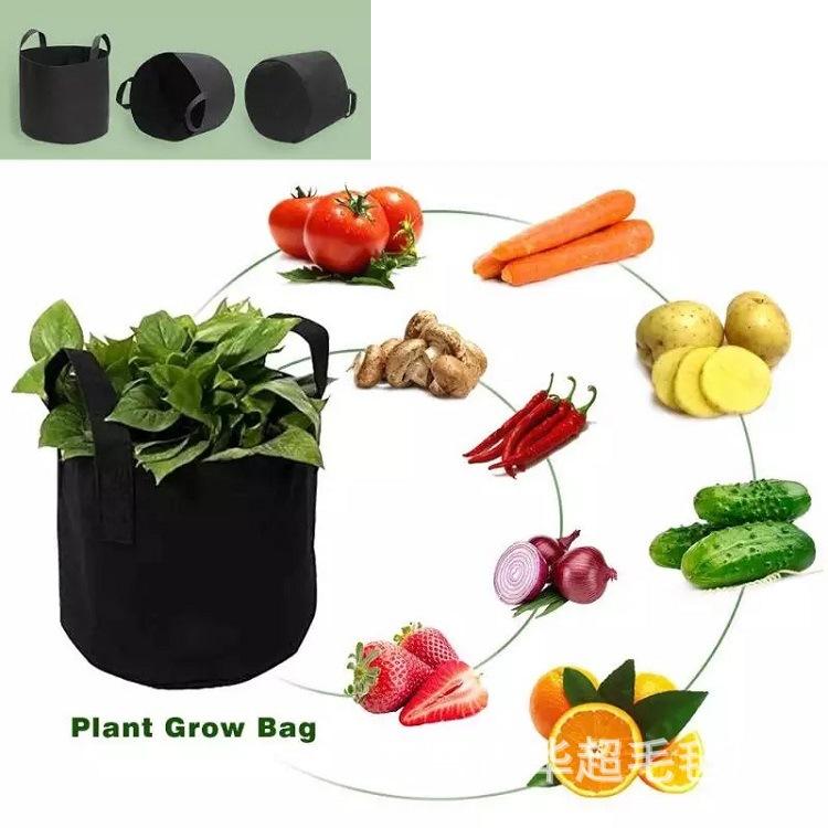 -1302652902658654814