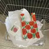 Bolsas de Tricô de Nicho Transfronteiriças, Bolsas de Mão Femininas, Bolsas de Palha Fofas, Bolsas Tote, Lembrancinhas Femininas