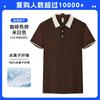 Polo de Seda de Hielo Personalizado Ropa de Trabajo Camiseta Verano Manga Corta Ropa de Trabajo Camisa Cultura Corporativa Ropa de Trabajo Delgada Logo Estampado