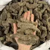 Rehmannia Glutinosa Crua, Materiais Medicinais Chineses, Rehmannia Glutinosa Crua, Produtos de Henan, Várias Especificações, Atacado de Fábrica, Grande Quantidade, Tratamento Preferencial