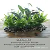 Hojas de Helecho Artificiales, Plantas de Helecho, Flores y Plantas Falsas, Hojas Verdes, Materiales Florales, Rincón de Plantas Decoración de Arreglo de Paisajismo Forestal