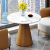 Mesas y Sillas de Negociación para Recepción de Hotel y Oficina de Ventas Mesa de Café y Sofá de Recepción para Salón de Belleza de Lujo Nórdico