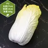 Adereços de vegetais de simulação modelo de vegetal de simulação folhas de alface falsas brócolis repolho adereços de supermercado frutas e vegetais crianças