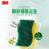 3m Scotch S6225 Esponja Antibacteriana Sin Olor Estropajo Cocina Hogar Esponja para Lavar Platos Paño de Limpieza Estropajo