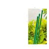 Haste de fibra de vidro Suporte de planta Escalada Videira Suporte de flor Haste de pilar Suporte de rosa Haste de suporte de tomate Haste de fibra plástica reforçada com fibra de vidro