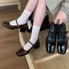Sapatos Femininos de Salto Único Estilo Retrô 2025 Novos Sapatos Mary Jane Franceses com Salto Grosso para Primavera e Outono, Sapatos de Salto Alto Baixos de Hong Kong