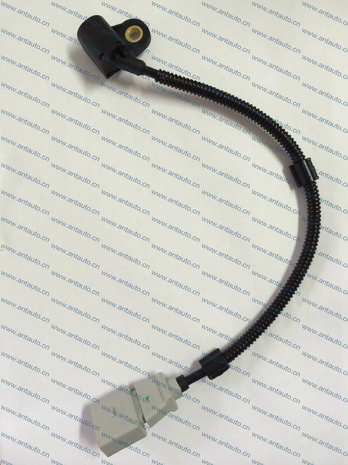 CP-1284