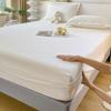 Lençóis de Cama de Veludo Leite Cor Pura Outono e Inverno Cobertores de Cama de Flanela Espessados Cobertura Protetora Simmons Quente Peça Única Cobertura de Cama