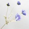 Sensación de simulación hidratante amapola alta calidad amapola islandesa decoración del hogar accesorios de fotografía suave flor