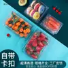 Caixas para viagem, caixas de sushi, caixas de entrega, caixas para pato assado, caixas de frutas, caixas para doces, caixas para rocambole de carne e 100 peças de Pailin Yin (um tipo de massa folhada)