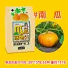 Plantio Infantil para Levar Flores, Plantas em Vasos, Observação do Crescimento, Alunos do Ensino Fundamental, Jardim de Infância para Levar Frutas, Plantio Criativo de Vegetais
