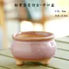 Oferta especial vasos pequenos e médios flor de carne rosa vaso de flores cerâmica forno retrô fábrica de vasos criativos liquidação artesanato atacado