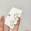 Lote Misto Brincos Populares para Mulheres, Brincos de Luxo de Alta Qualidade, Mesmo Estilo do Tiktok, Versão Coreana, Brincos de Flor de Pérola, Nicho e Versátil
