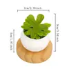Combinación de plantas suculentas artificiales más vendidas en Amazon transfronterizo, bonsái de suculentas falsas de estilo fresco y creativo
