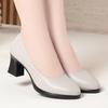 Zapatos Formales de Trabajo Versátiles de una Pieza Envío Directo Negro Ropa de Trabajo Versátil Tacones Altos para Combinar con Trajes Zapatos de Cuero Zapatos Individuales Zapatos para Entrevista de Mujer