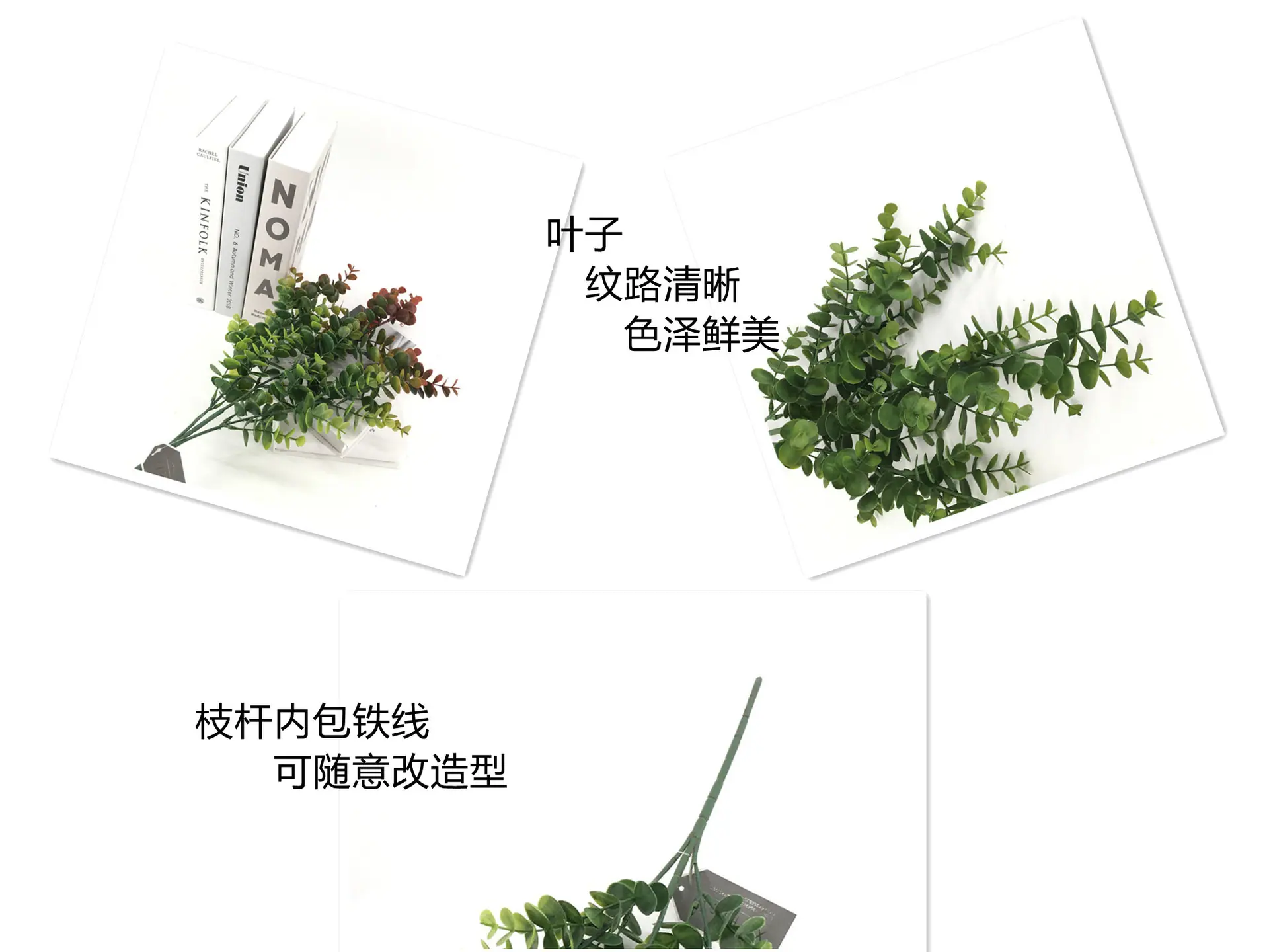 微信图片_20210912135645_副本
