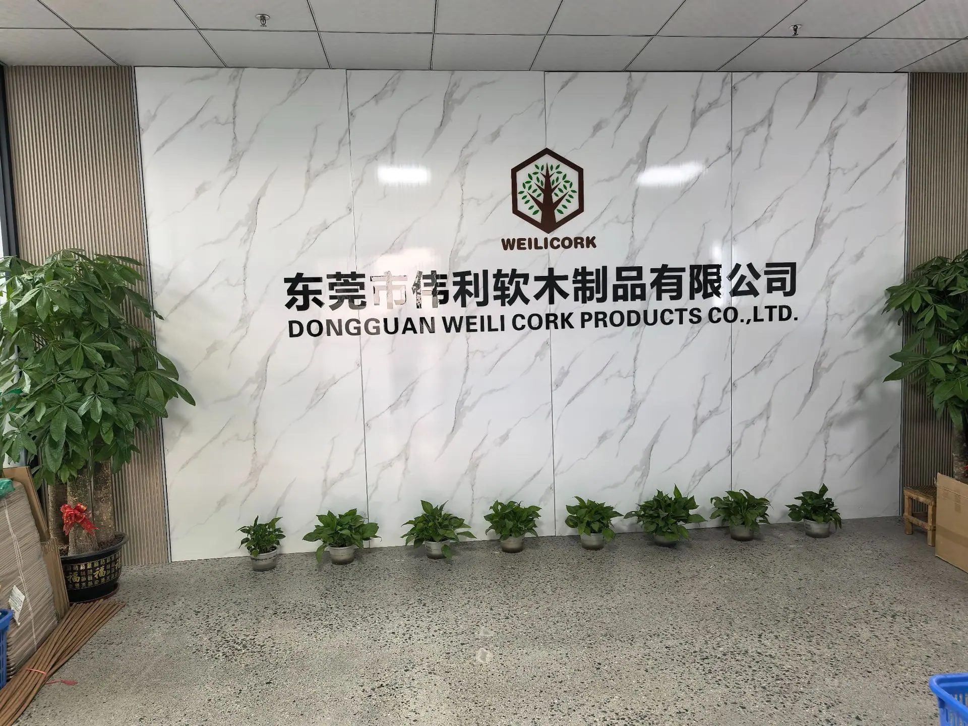 公司名