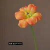 Flor Artificial Galho Único Rosto Sorridente Tulipa Aberta Borda Enrolada Fotografia de Casamento Decoração de Paisagismo Residencial Ornaments Flores Artificiais