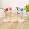 Tienda Directa de Fábrica Flor Eterna Cubierta de Vidrio Color Dorado Hoja de Oro Rosa Dorada Flor Artificial Luz LED Emisora de Luz Regalo Creativo Festivo