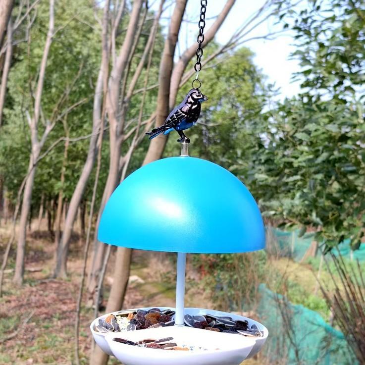 2025-03-12 18:10:25.jpg