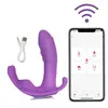 Vibrador de borboleta vestível mais vendido para mulheres para orgasmos intensos, controle remoto sem fio, vibrador adulto multifrequência