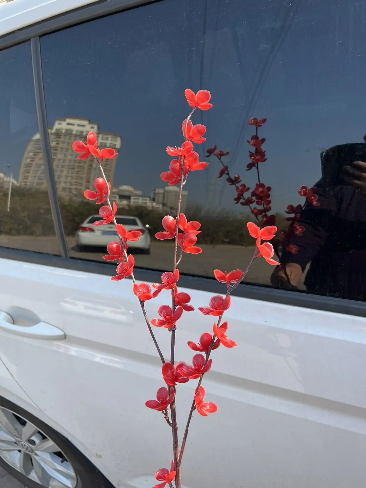 QQ图片20221109072155