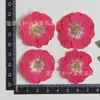 Rosa Roja Flor Real Flor Prensada Espécimen Flor Prensada con Forma de Cara Lámpara de Mesa Flor Prensada Resina Venta al por Mayor Hecho a Mano Paquete de Materiales de Flor Seca Rosa
