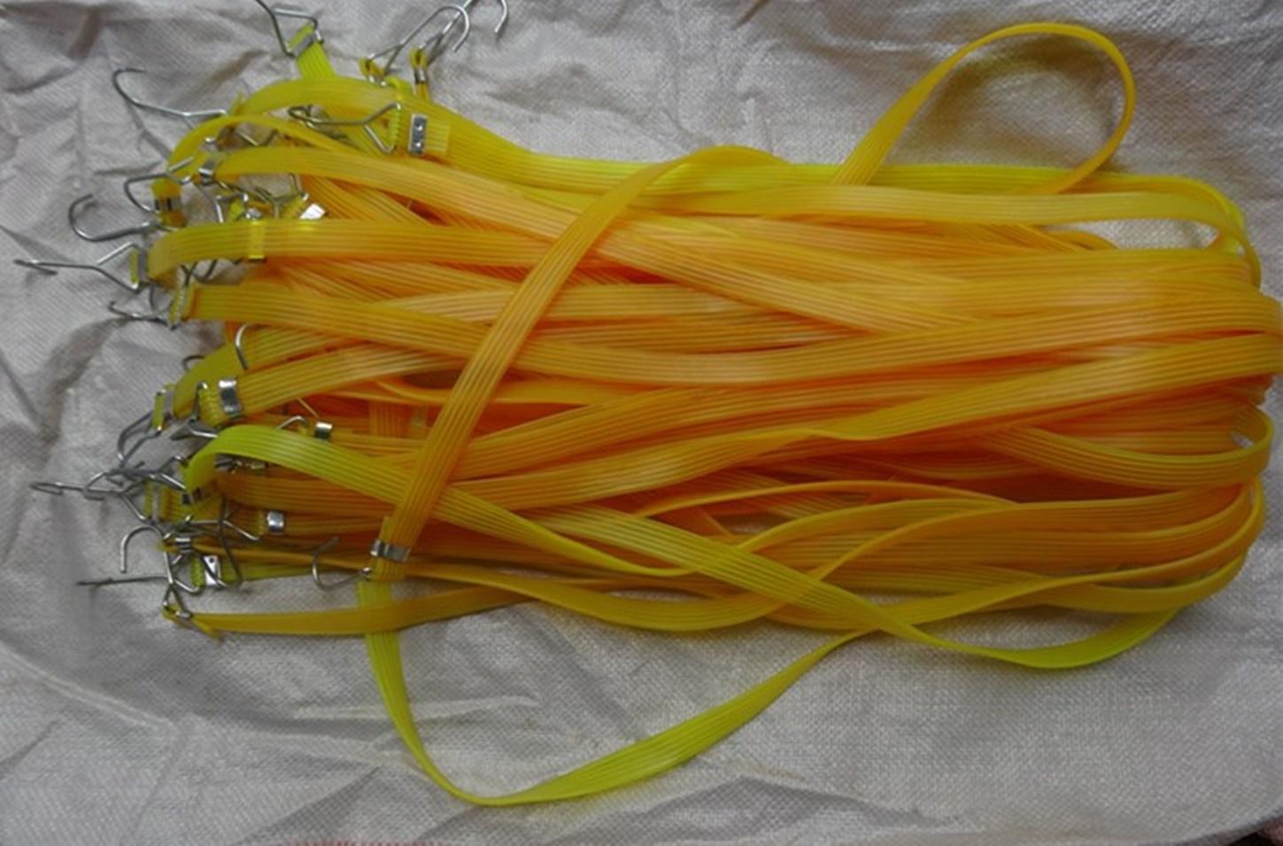 DSC00983_副本_副本