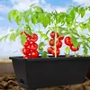 Maceta Horen superventas transfronteriza, diseñada específicamente para jardinería en balcón, maceta rectangular, caja para cultivo de fresas y verduras, maceta de plástico