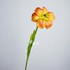 Flores Tulipa Artificiais de PU, Enfeites para Decoração de Casa, Adereços para Fotografia, Cenário de Casamento Atacado