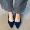 Colección Otoño 2026: Zapatos Mary Jane de punta fina, corte bajo, cómodos, estilo francés, versátiles, elegantes y adecuados para el trabajo.