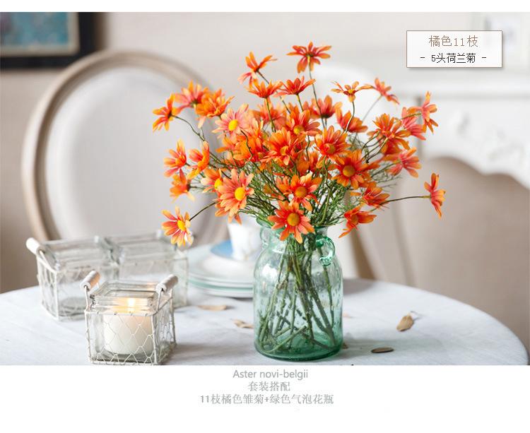 荷兰菊1.jpg