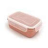 Caixa de Conservação de Alimentos Mini Transfronteiriça Geladeira Freezer Cozinha Pequena Marmita Caixa de Armazenamento de Picles Caixa Plástica Selada de Armazenamento