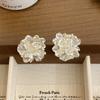 Pendientes de plata S925 con diseño de flor degradada de cristal y aguja, nuevo estilo, luz de hadas, lujo, Internet, moda de celebridades.