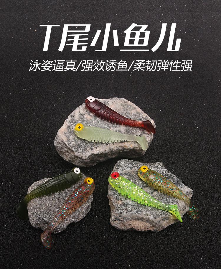 T尾小鱼儿_01.jpg