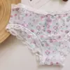 Precio Especial de Evento Pinkgirl Calzones Triángulo para Mujer con Ribete de Encaje, Nylon Elástico, Estampados, Secado Rápido, Directo de la Fábrica Fuente