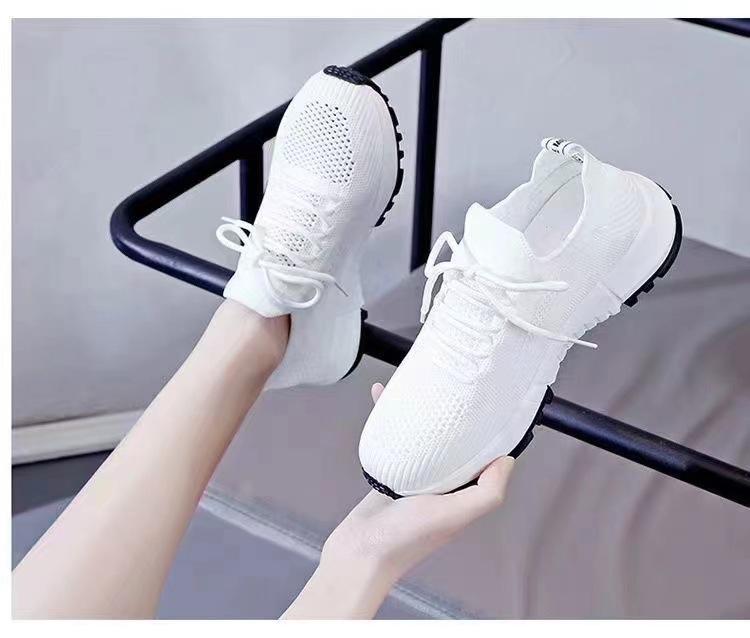 微信图片_202309161131504.jpg
