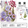 Marcador de Flores Secas Espécimen de Planta Película Selladora Botella Flores Prensadas Recolectadas en Otoño Material Hecho a Mano DIY Flor Transparente