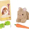 Accesorios Auténticos para Comida a Granel y Muñecas de Juego, Clínica de Doctor, Mini Cocina, Casa de Juego, Juguetes Ogag Adecuados