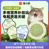 Berry Little Cutie Pacote de Carga Rápida de Eletrólitos Gollum Preço Cheio Comida Principal Comida Úmida para Pets Pacote de Refeição para Gatos Comida para Gatos Comida Principal para Filhotes